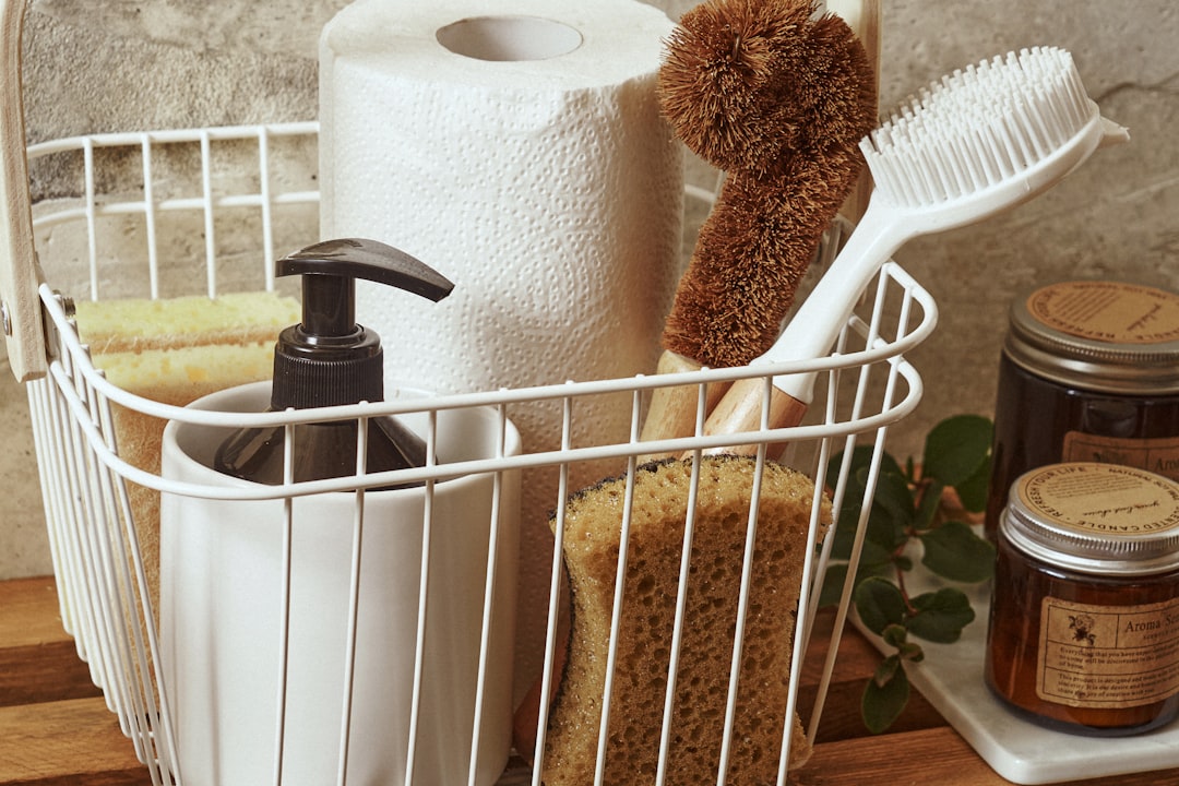 Best Mold Prevention Products for Florida Humidity