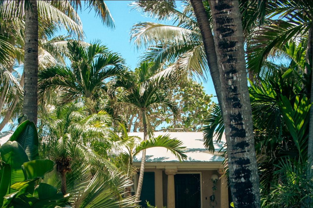 Best Neighborhoods in Tampa Bay with No HOA