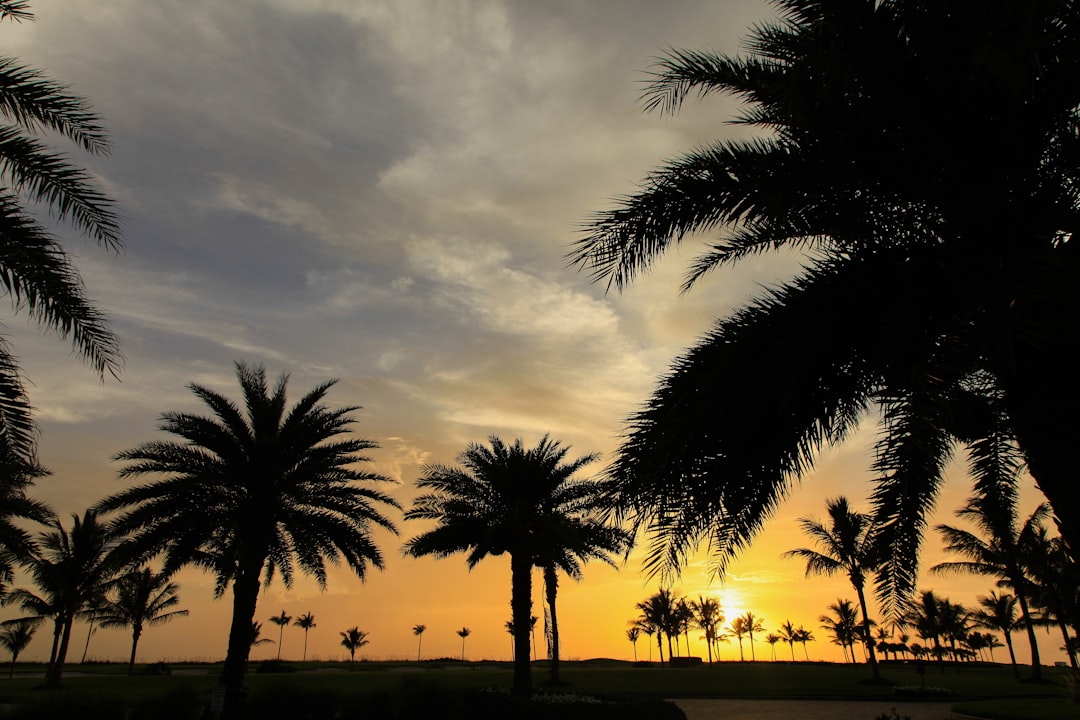 The Best Things About Living in Florida — Why I've Stayed 23+ Years