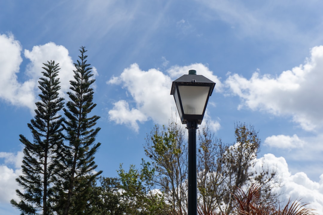 Brandon vs Riverview — Which Is Better for You?