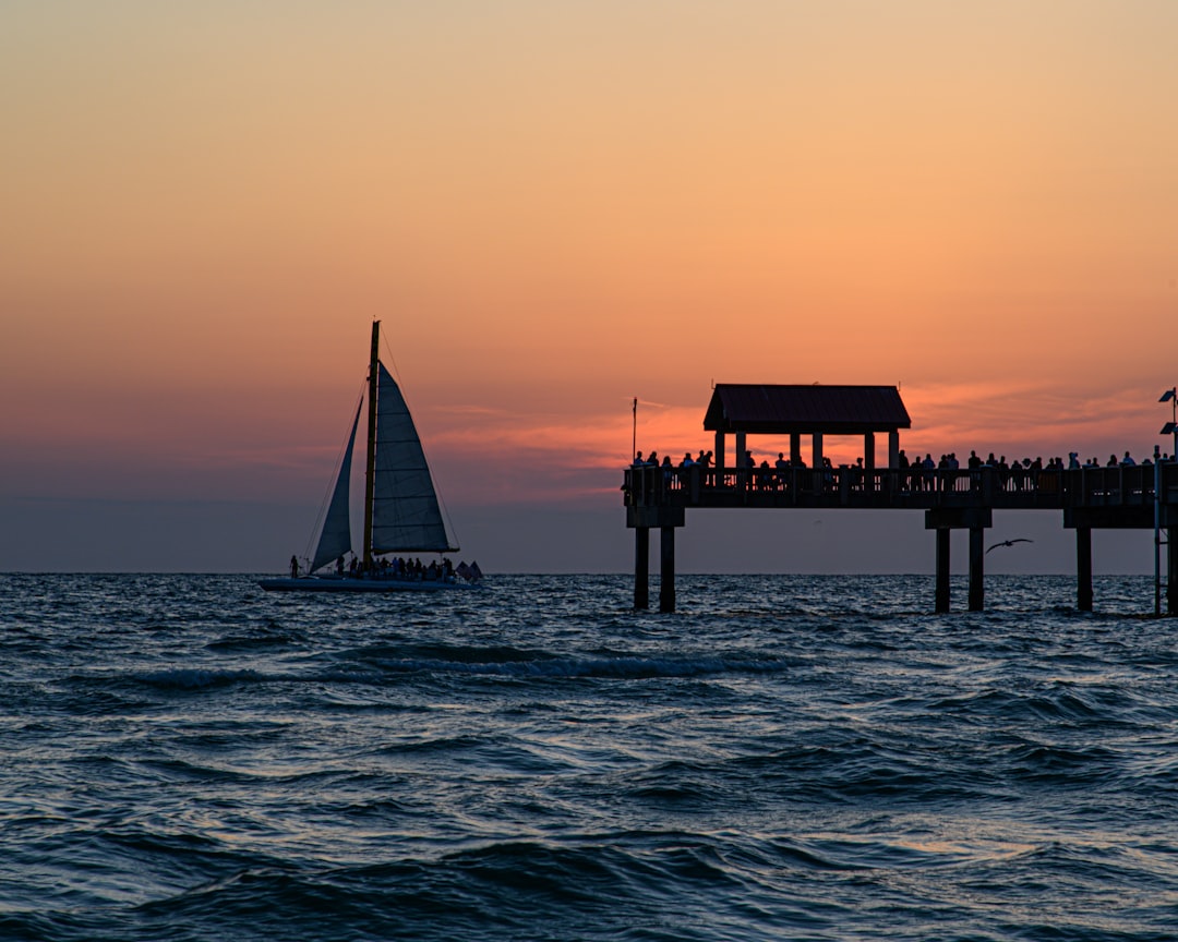 Clearwater vs Dunedin — Which Is Better for You?