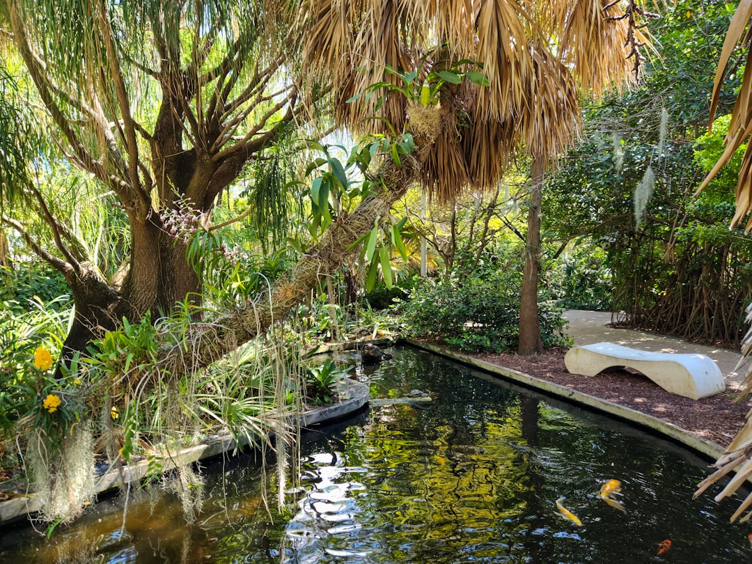 The Florida Bug Survival Guide — Yes, They're Real, and Here's How to Deal