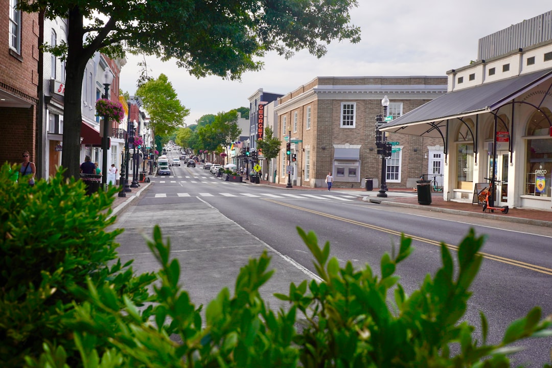 Tampa Bay Neighborhoods with the Best Walkability