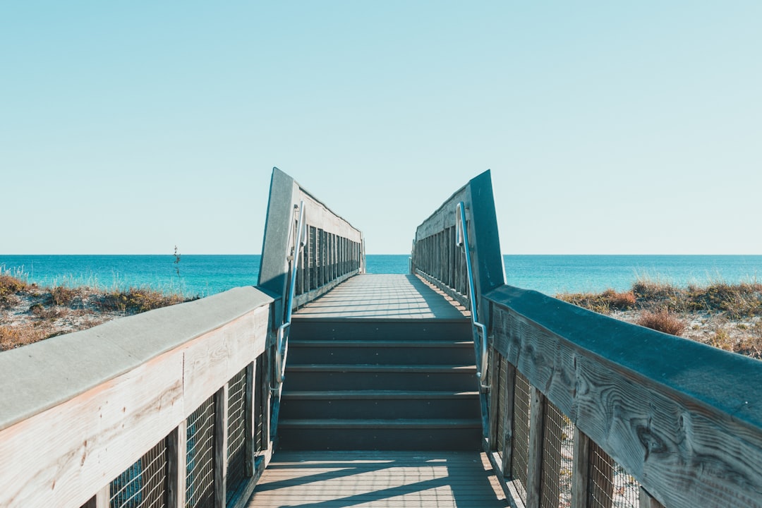 Best Fishing Gear for Tampa Bay Beginners