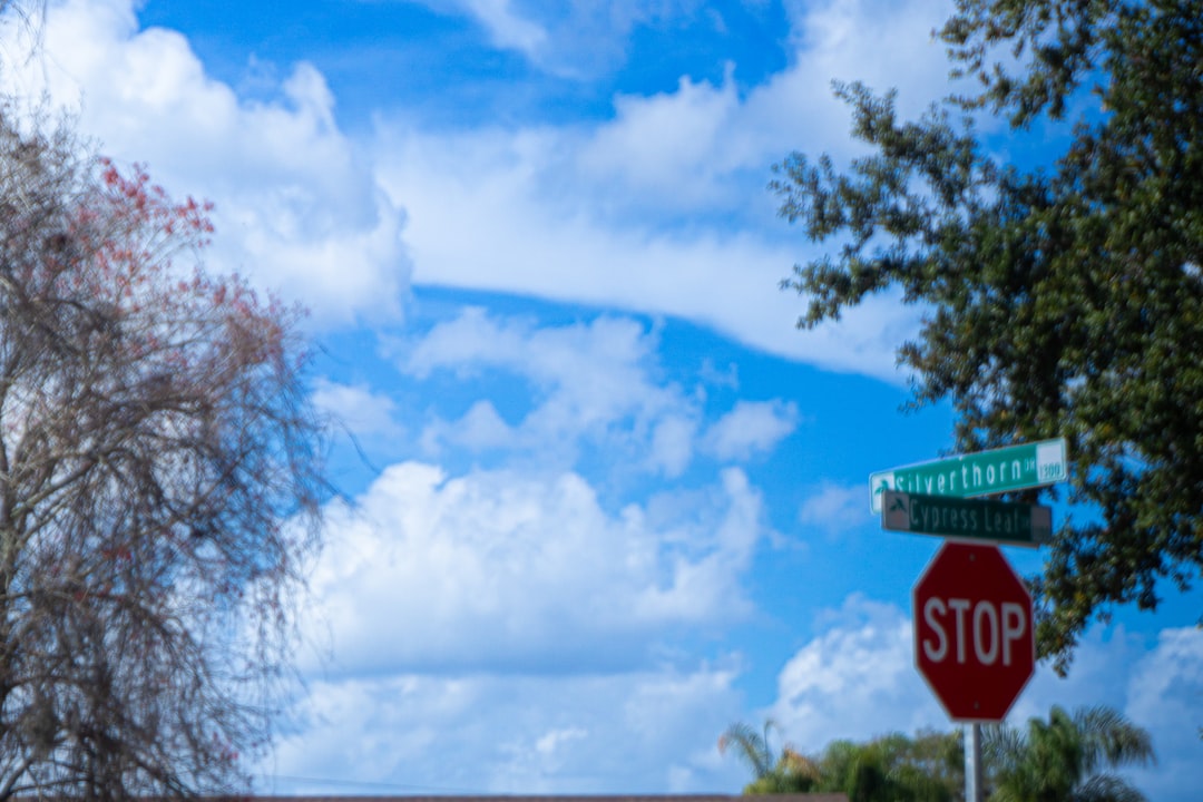 Riverview vs Wesley Chapel — Which Is Better for You?