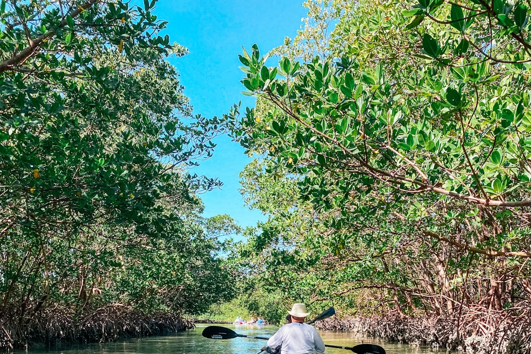 Tampa Bay Kayaking and Paddleboarding Guide