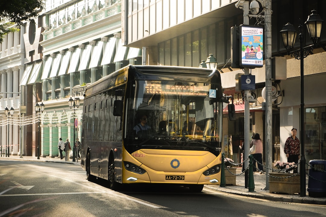 Tampa Bay Public Transit Guide — HART, PSTA, and Beyond