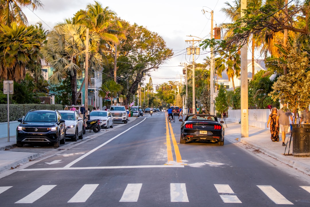 Temple Terrace vs Carrollwood — Which Is Better for Relocators?