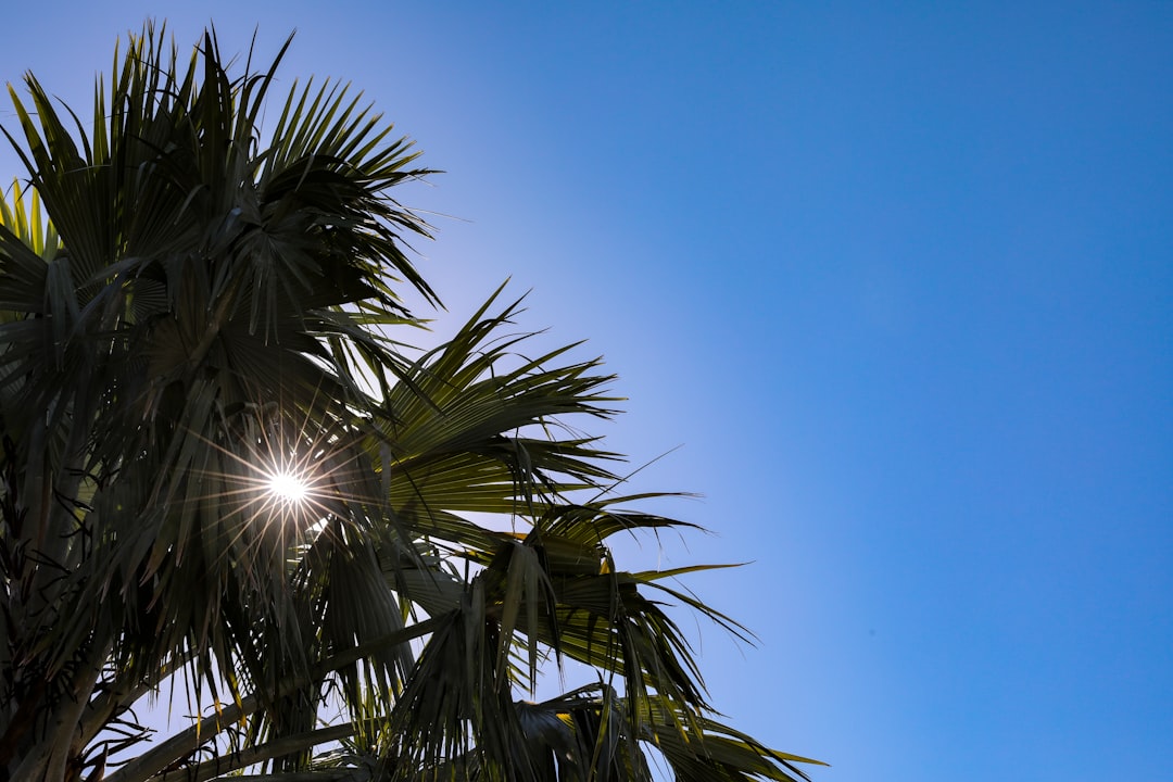 The Worst Things About Living in Florida (From Someone Who's Been Here 23+ Years)